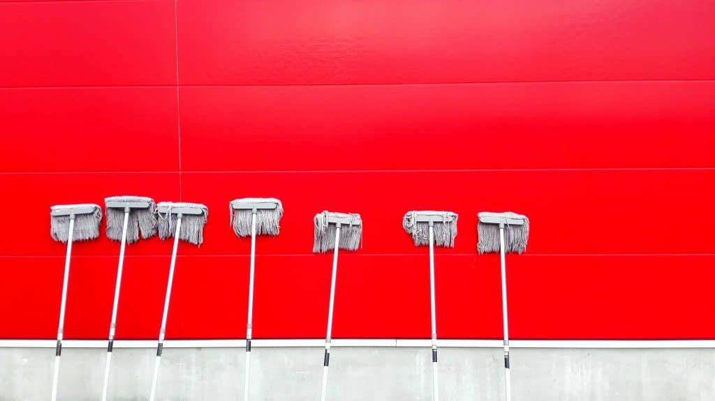 Mops standing against a red wall